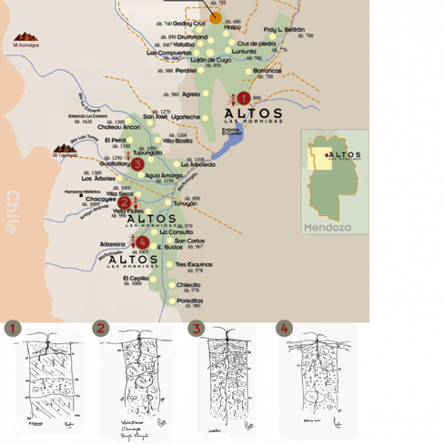 Mapa dos terrroirs Altos Las Hormigas