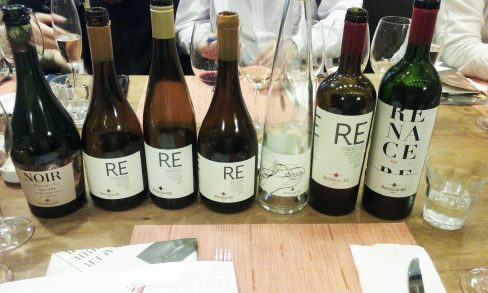 Bodegas Re-7 vinhos espetaculares